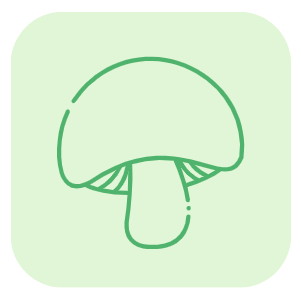 champignon