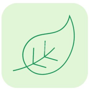 feuille bis